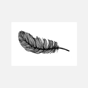 Feather
